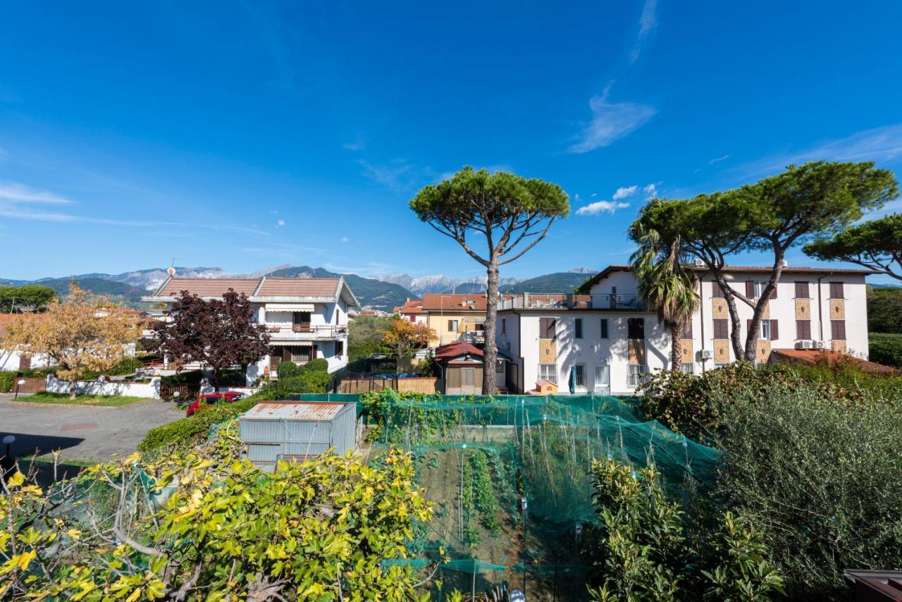 Residenza Tirrenia By Mmega Daire Marina di Massa Dış mekan fotoğraf